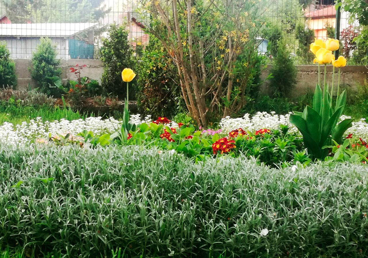 Apartman Amela Kulen Vakuf Bagian luar foto